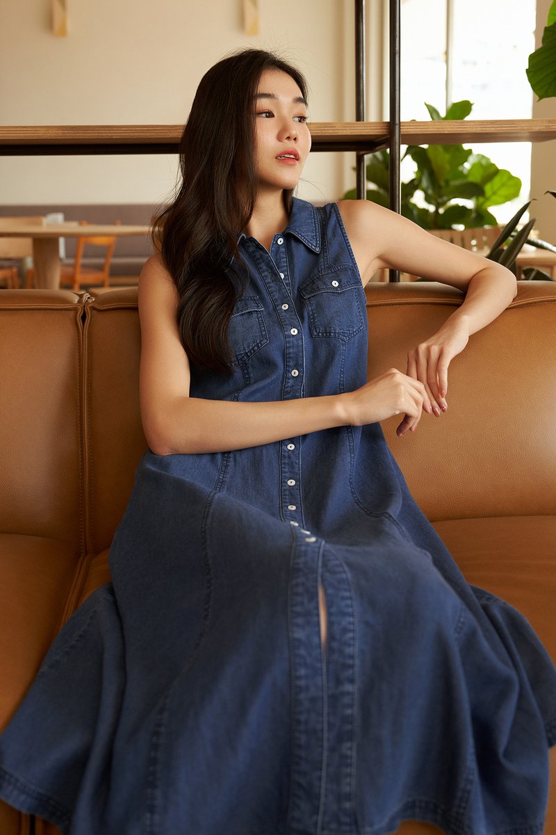 Zana Denim Dress