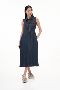 Gilda Zipped Denim Dress