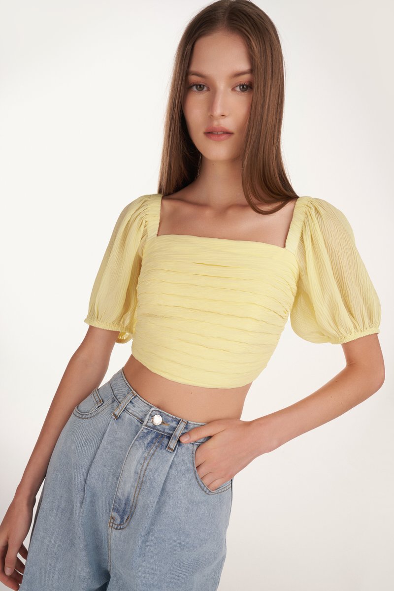 Reverie Textured Pleated Crop Top